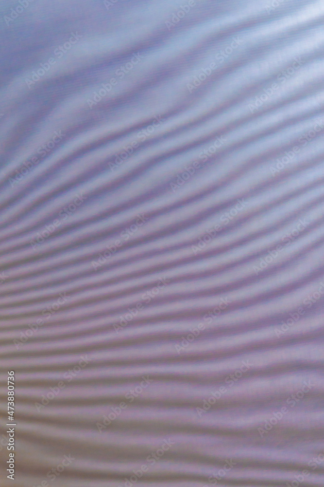 Obraz premium abstract colored wavy background of interference overlay fine meshes, combination of light and shadow, toning