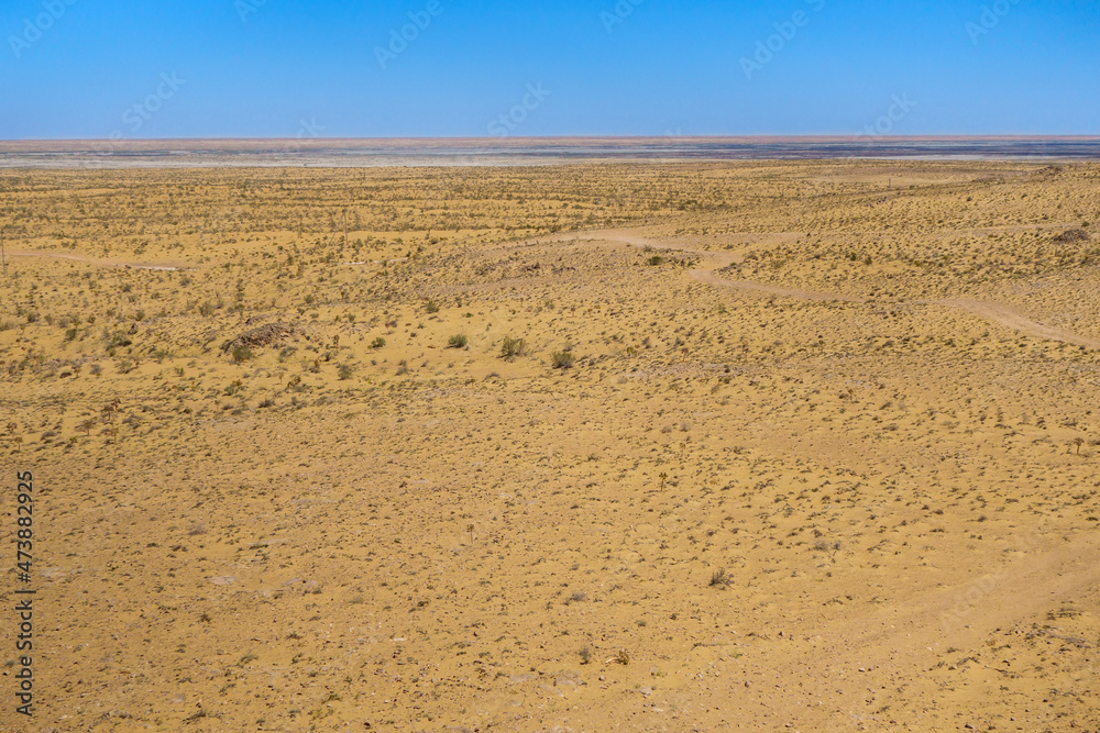 Panorama of Kyzyl Kum desert. Sands with remnants of spring vegetation are visible ahead, and saline soils lie behind them. Dirt road crosses the landscape. Shot in Karakalpakstan, Uzbekistan Panorama of Kyzyl Kum desert. Sands with remnants of spring vegetation are visible ahead, and saline soils lie behind them. Dirt road crosses the landscape. Shot in Karakalpakstan, Uzbekistan