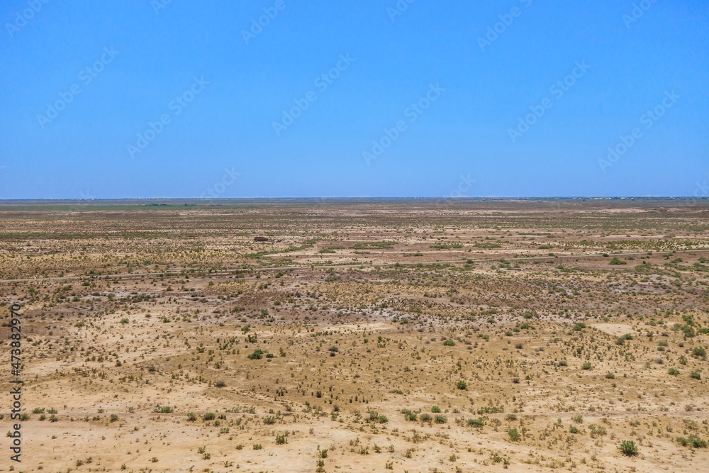 Panorama of Kyzylkum desert at end of spring, until flowering bushes are not yet scorched by hot sun. Road crosses the landscape in the center. Shot in Karakalpakstan (Uzbekistan)