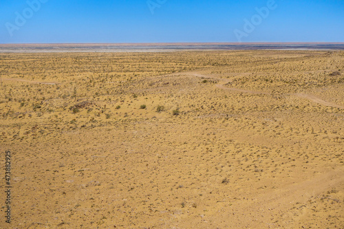 Panorama of Kyzyl Kum desert. Sands with remnants of spring vegetation are visible ahead  and saline soils lie behind them. Dirt road crosses the landscape. Shot in Karakalpakstan  Uzbekistan