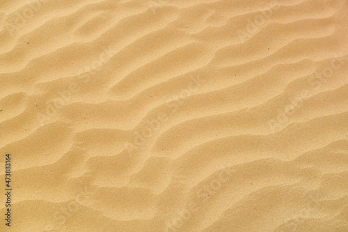 Top view of the undulating surface of the desert sand