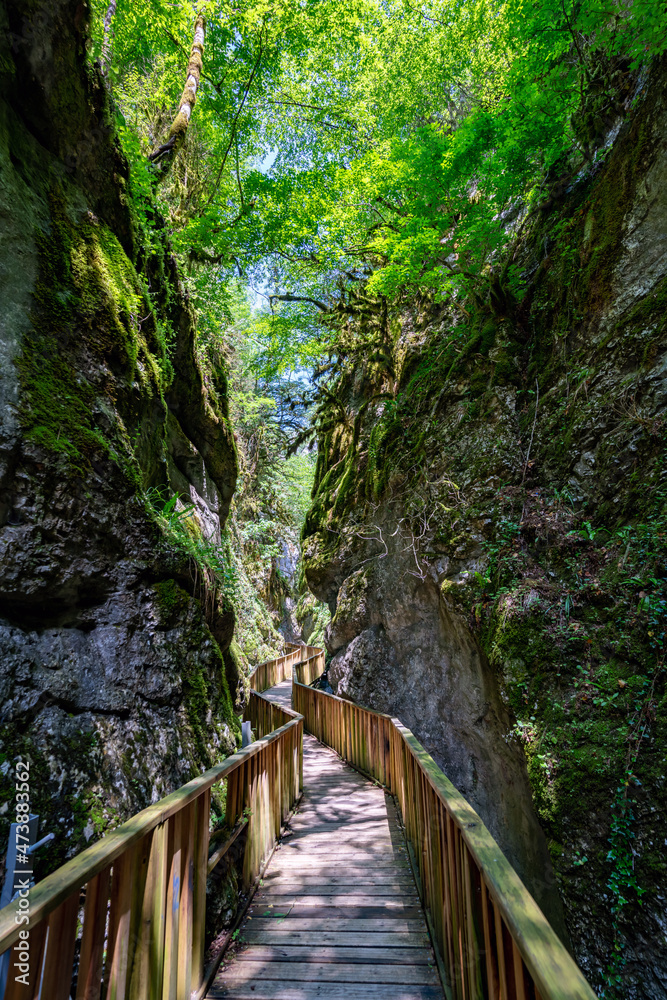 Fototapeta premium walking paths in the canyon