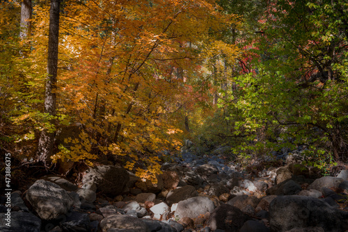 Fototapeta Naklejka Na Ścianę i Meble -  Colors of Fall in Sedona Arizona 2021