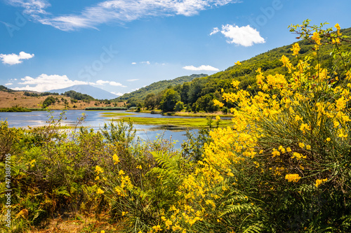View of Biviere lake with Etna volcano, Nebrodi National Park, Sicily, Italy