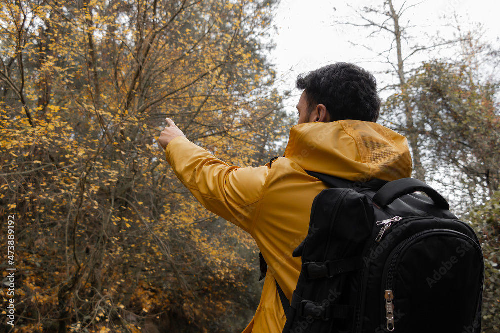 A Young Man pointing into forest. The background is amazing forest. He is unrecognizable. The photo taken from behind him. A Young Man pointing into forest. The background is amazing forest. He is unrecognizable. The photo taken from behind him.
