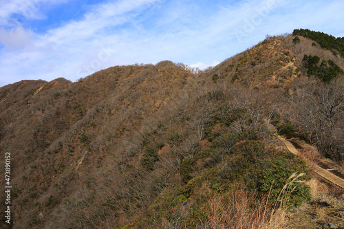 冬の丹沢 政次郎尾根登山道からの塔ノ岳遠景
