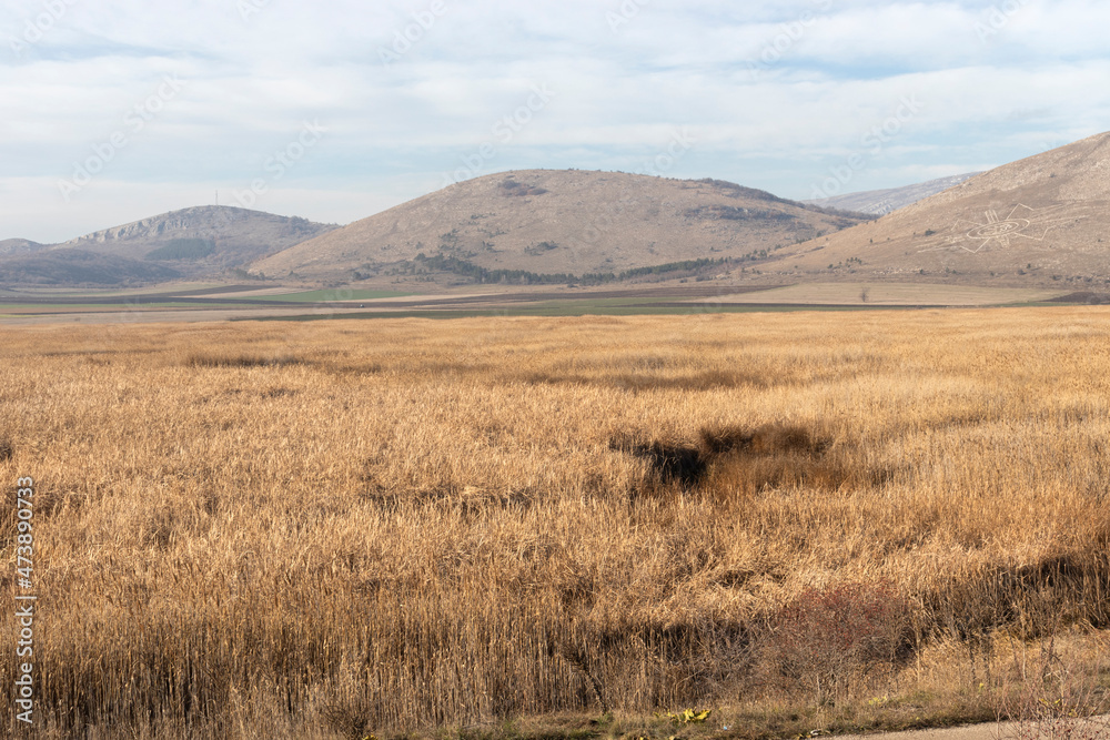 Autumn view of Aldomirovtsi marsh, Bulgaria Autumn view of Aldomirovtsi marsh, Bulgaria