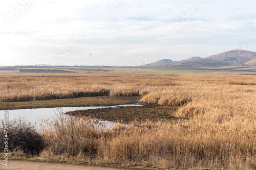 Autumn view of Aldomirovtsi marsh, Bulgaria