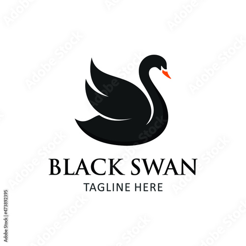 Fototapeta Naklejka Na Ścianę i Meble -  black swan on white