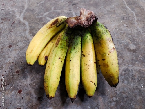 yellow ripening banana fruit isolated on grey cement background