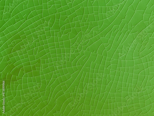 green organic abstract lines pattern photo