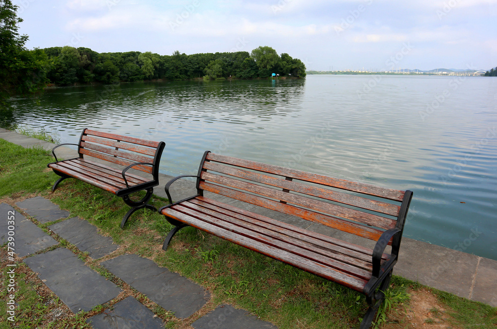 wooden bench in the park