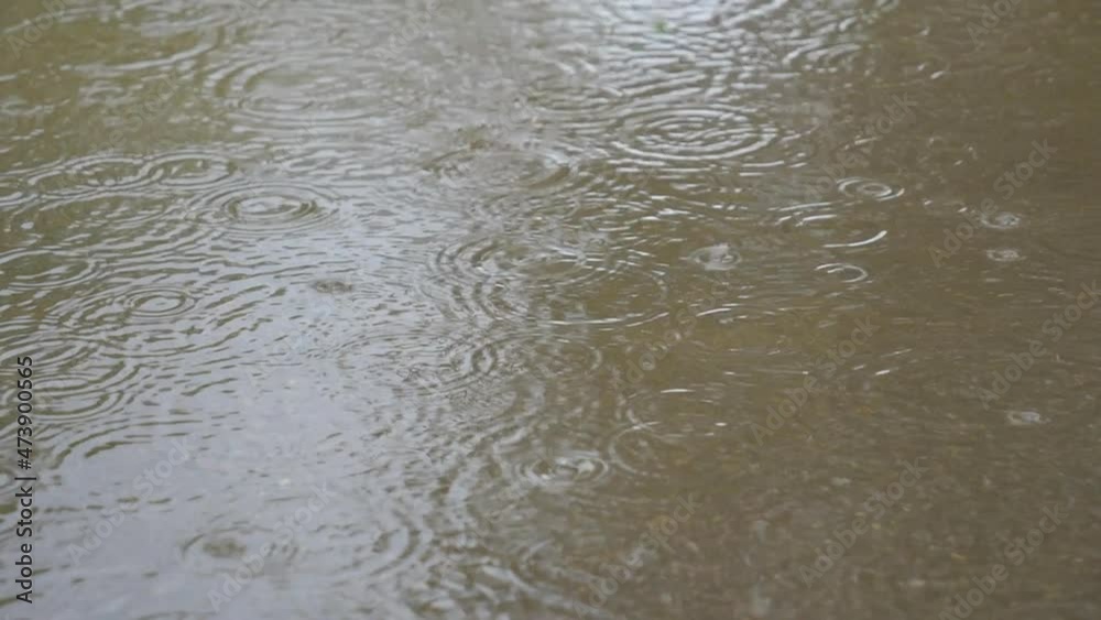 Rain falling on a puddle creating ripples on its surface. Rain falling on a puddle creating ripples on its surface.