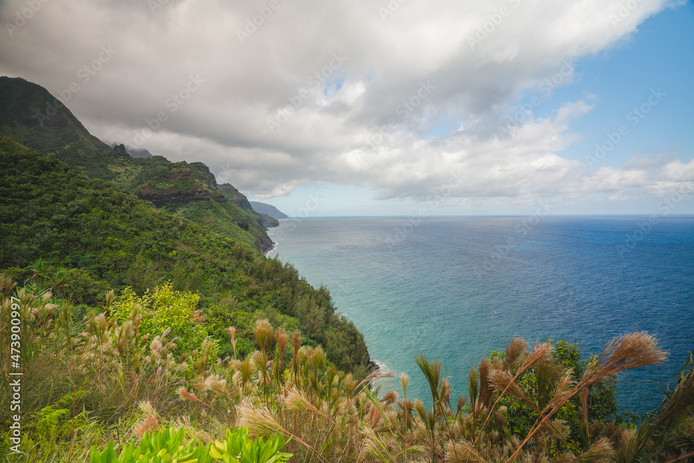 seaside landscape in an island with mountains in kauai, hawaii