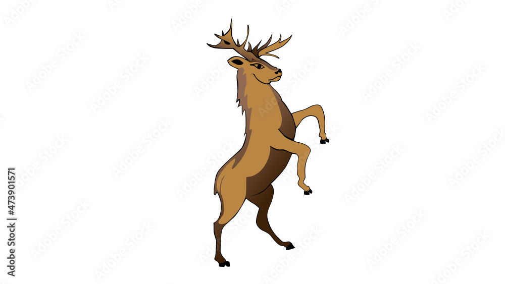 Obraz premium Stag rearing