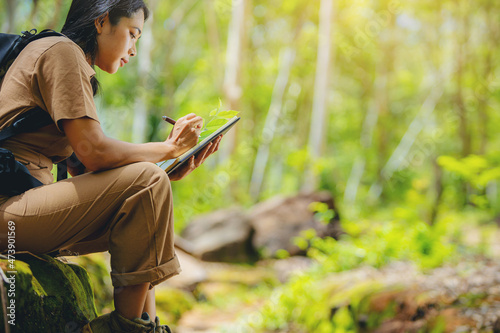 Biologist or botanist recording information about small tropical plants in forest. The concept of hiking to study and research botanical gardens by searching for information.