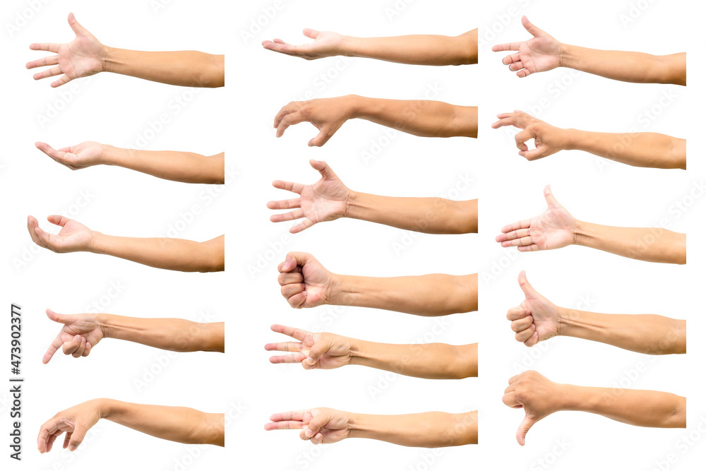 Set of man hand isolated on white background.Many Hands Concept. Set of man hand isolated on white background.Many Hands Concept.