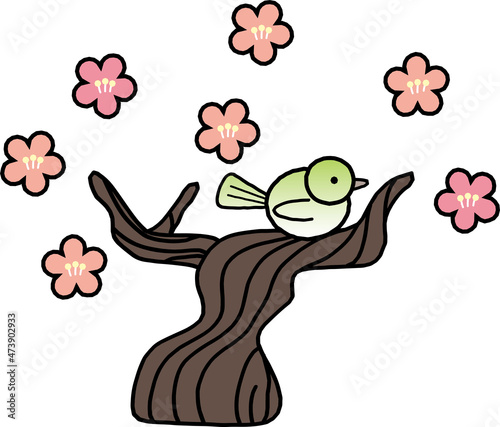 梅にウグイス/This is the spring landscape of Japan. The bush warbler is stopped on the plum tree.