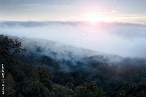 Beautiful view in the morning at Inthanon national park in Chiangmai, Thailand.