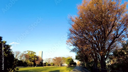 The Beauty of Yokohamashi Nogeyama Park photo