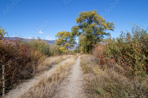single land dirt road in the mountains