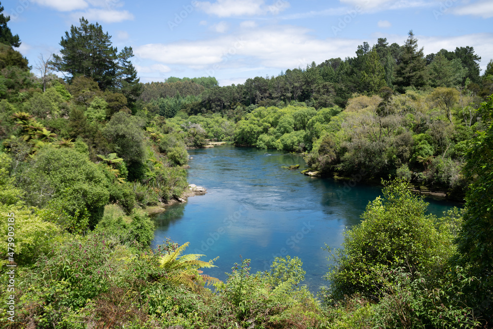 Calm spot among native bush on Waikato River near Taupo