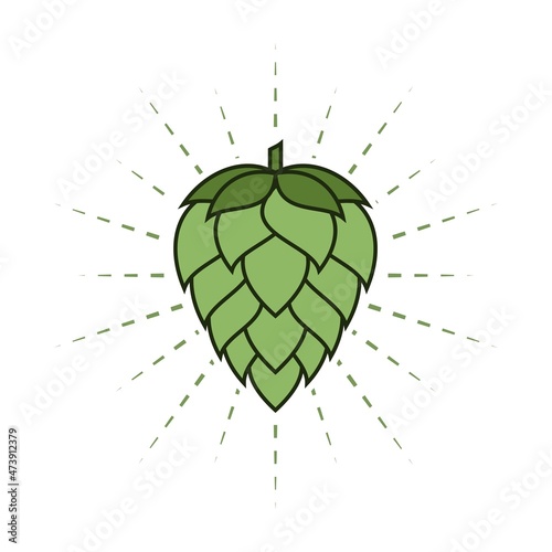 Hops icon vector design templates