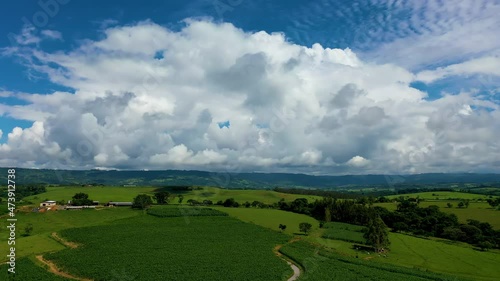 Wallpaper Mural Panorama view of rural landscape. Countryside scenery aerial view. Tropical scenery. Plantation agriculture field. Green background. Brazilian agribusiness.  Torontodigital.ca