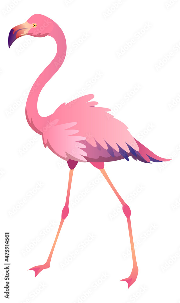 Obraz premium Walking flamingo. Beautiful pink bird. Tropical animal