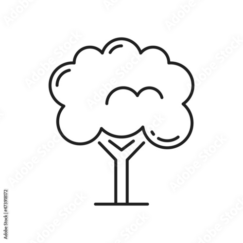 Tropical tree jungle forest object isolated thin line icon. Vector environment protection, landscape architecture exotic tree. Exotic beach garden decor element, tree spring or summer object
