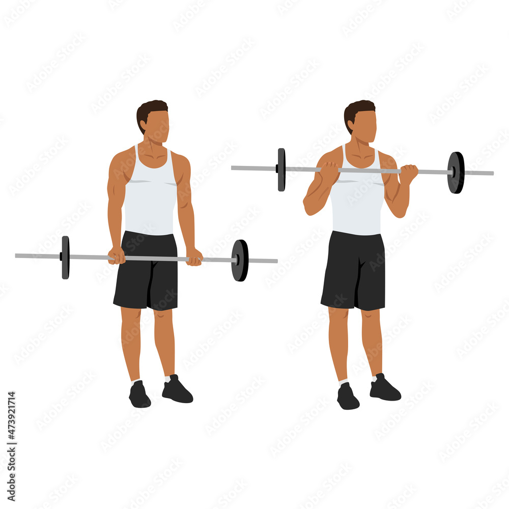 Man doing Barbell curls exercise. Standing bicep curl.Arm workout. Flat vector illustration of a fitness man isolated on white background Man doing Barbell curls exercise. Standing bicep curl.Arm workout. Flat vector illustration of a fitness man isolated on white background