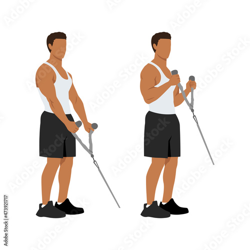 Man doing Cable hammer bicep curls exercise. Arm workout. Flat vector illustration of a fitness man isolated on white background