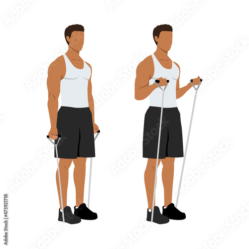 Man doing Resistance band bicep curls exercise. Arm workout. Flat vector illustration of a fitness man isolated on white background