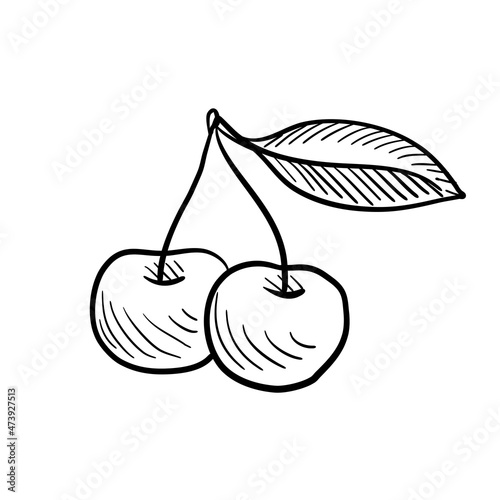 cherries, vector drawing sketch of berry isolated at white background,hand drawn illustration