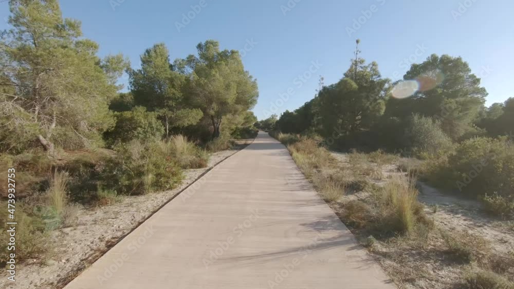 Bike ride along the park concrete paths on sunny summer day, first-person view Bike ride along the park concrete paths on sunny summer day, first-person view