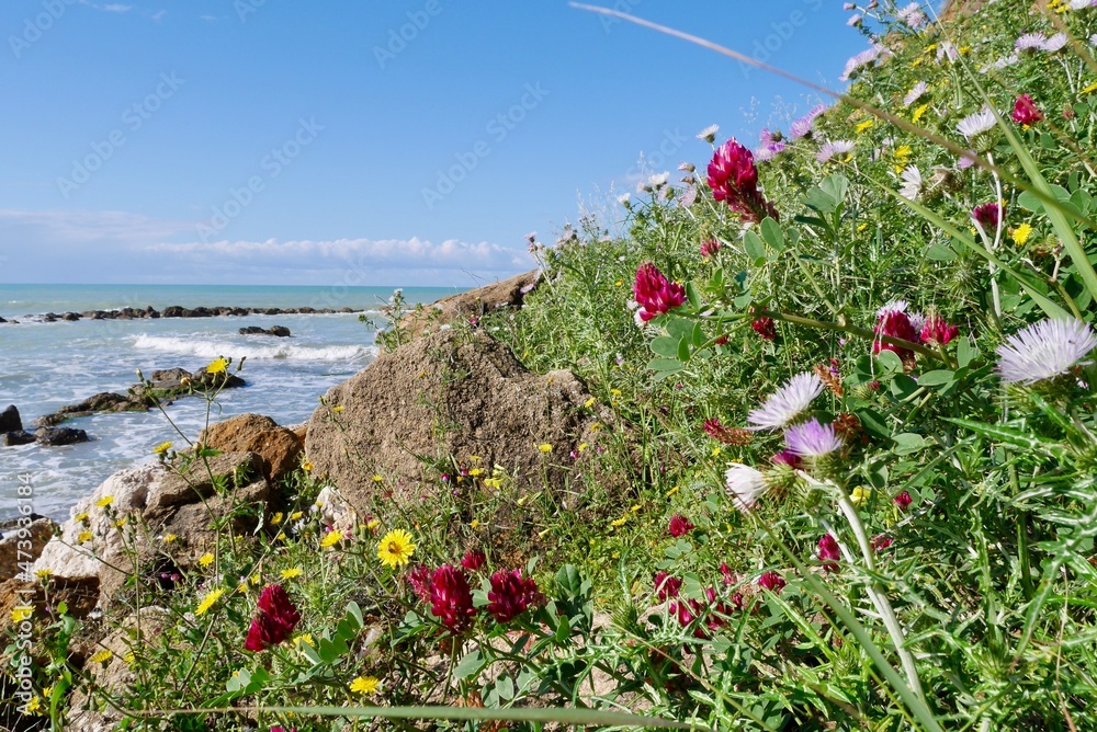 Colorful spring flowers overlooking rocky bay at Sciacca, Scicly, Italy.
