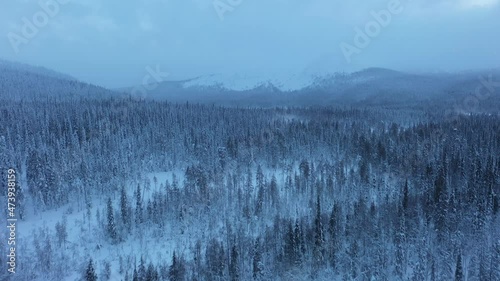 Aerial view over snowy blue hour forest, towards mountains in Yllas, Lapland - rising, drone shot photo