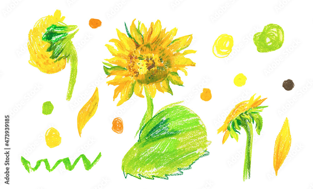 Set of yellow sunflowers in wax crayons on white isolated background.Autumn botanical baby flowers in doodle style hand drawn pastel pencils.Designs for cards social media,posters,prints,invitations. Set of yellow sunflowers in wax crayons on white isolated background.Autumn botanical baby flowers in doodle style hand drawn pastel pencils.Designs for cards social media,posters,prints,invitations.