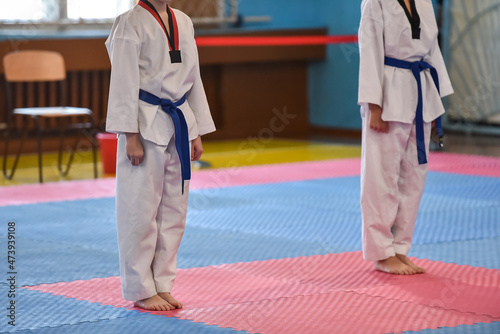 Taekwondo kids. Two boys athletes stands in a taekwondo uniform with a blue belts during a taekwondo tournament