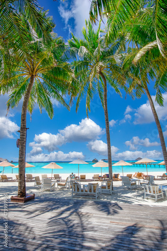 Fototapeta Naklejka Na Ścianę i Meble -  Beautiful tropical beach with white sand and chairs loungers on terrace background of turquoise ocean and blue sky with clouds. Scenic palm tree leaves. Perfect exotic landscape for relaxing vacation