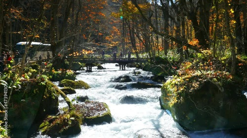 Oirase Stream (Oirase Keiryū) is a picturesque mountain stream in Aomori Prefecture that is one of Japan's most famous and popular autumn colors destinations