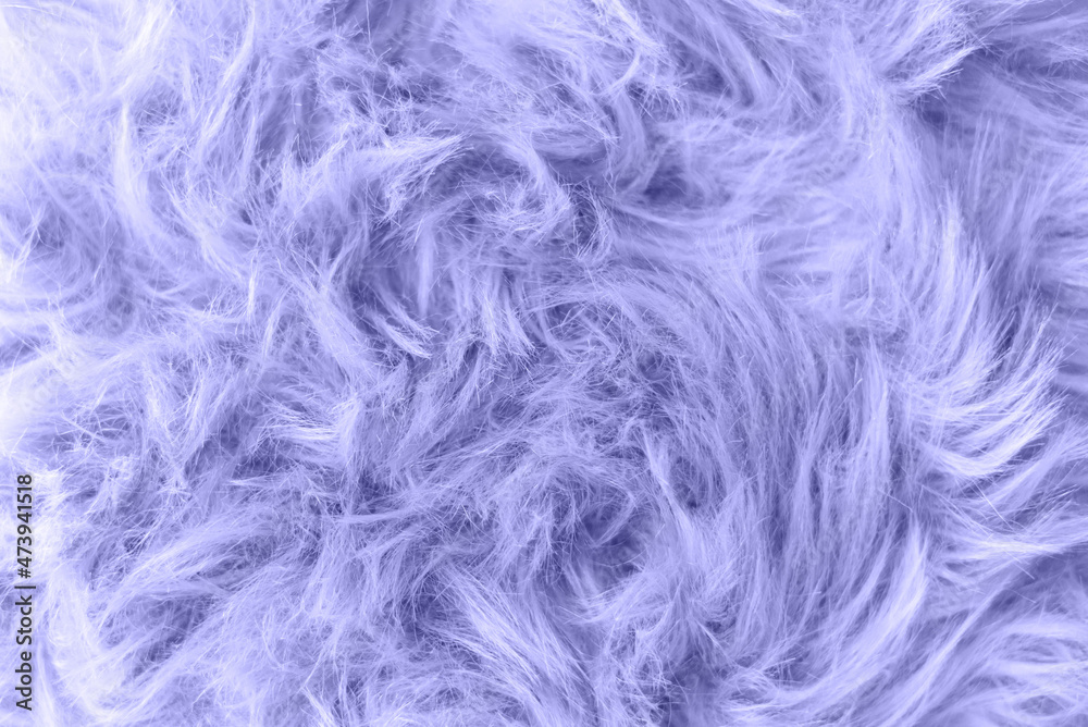 Color of the year 2022, Very Peri. Top view Fluffy wool texture sample. Fashionable beauty, trendy and modern design concept.