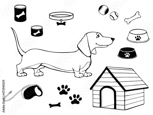 Dachshund, basset hound, beagle, pet. Silhouette of the cute dog in cartoon style. Accessories for dog. Vector illustration isolated on white background. Outline freehand drawn. Coloring page book. 