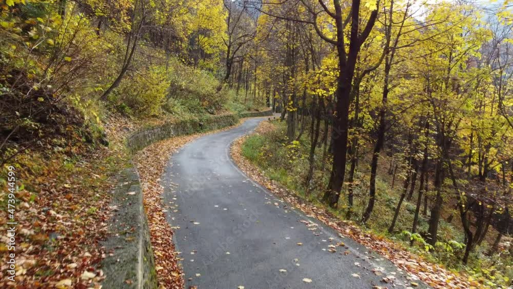 Autumn road in mountain forest, yellow and red foliage trees aerial view Autumn road in mountain forest, yellow and red foliage trees aerial view