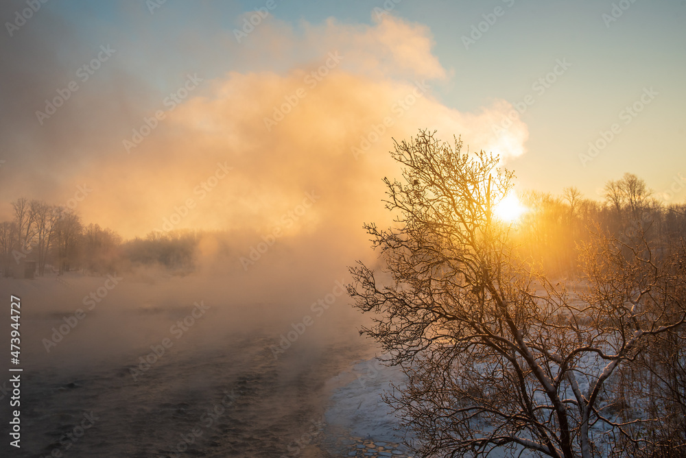 Naklejka premium Foggy sunrise and tree by the Venta river waterfall in winter, Kuldiga, Latvia