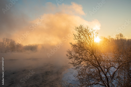 Foggy sunrise and tree by the Venta river waterfall in winter  Kuldiga  Latvia