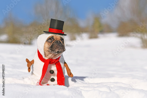 Funny snowman dog. French Bulldog dressed up with Christmas costume with red scarf, fake stick arms and top hat in winter snow landscape