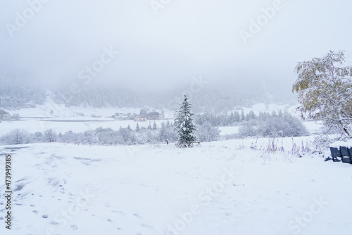 Frozen scene in valley, fresh snow © Enrico