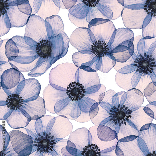 Anemones seamless pattern Floral watercolor print Purple translucent flower background
