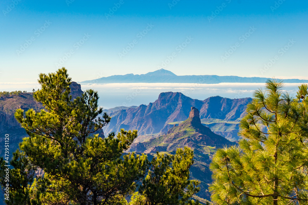 High summit landscapes of the Canary Islands with green vegetation after the rains with afternoon light, beautiful colors with the Roque Nublo, the Bentayga and the Teide in the beautiful background